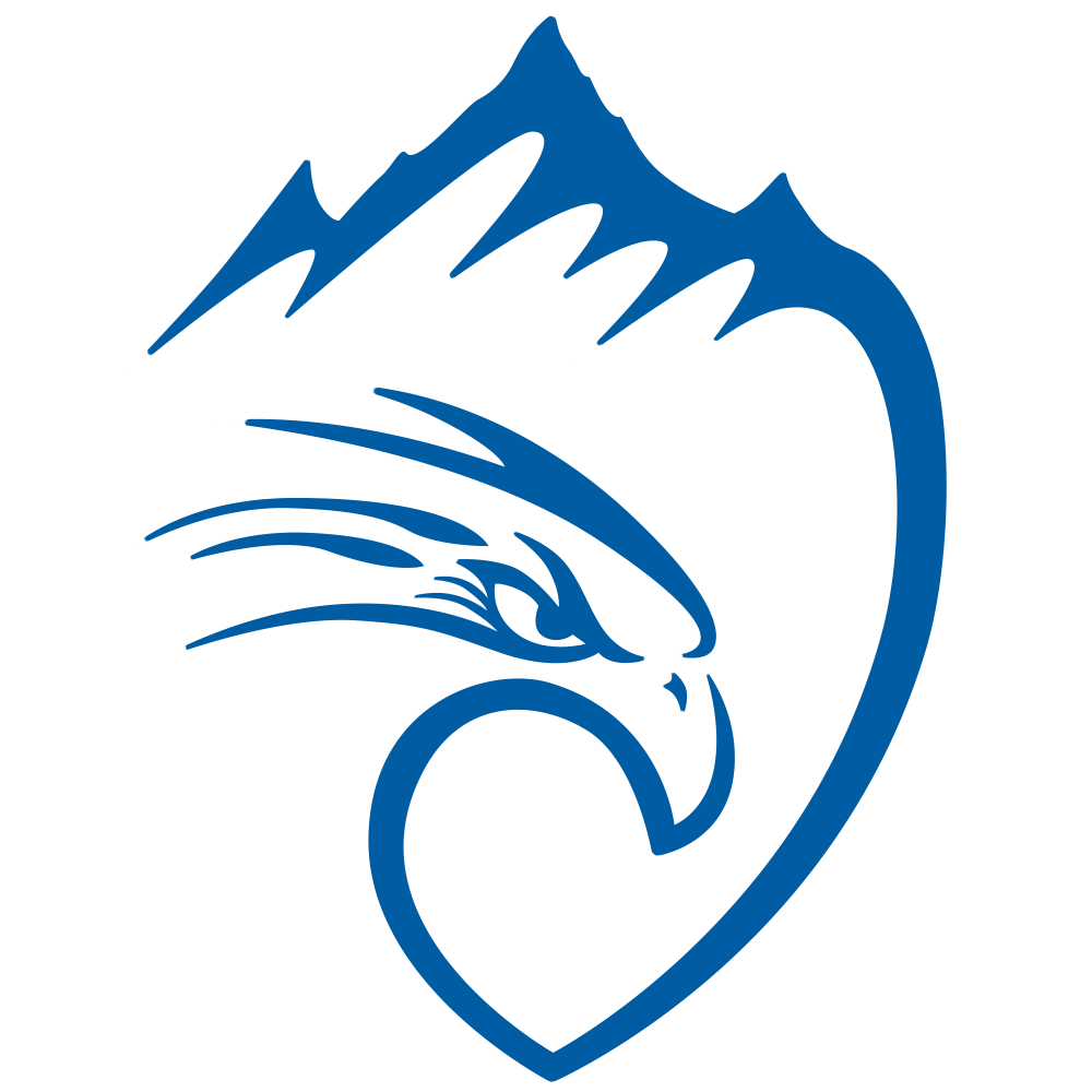 blueeagle logo